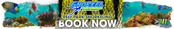 reef-park-snorkeling-tour-book-now-banner