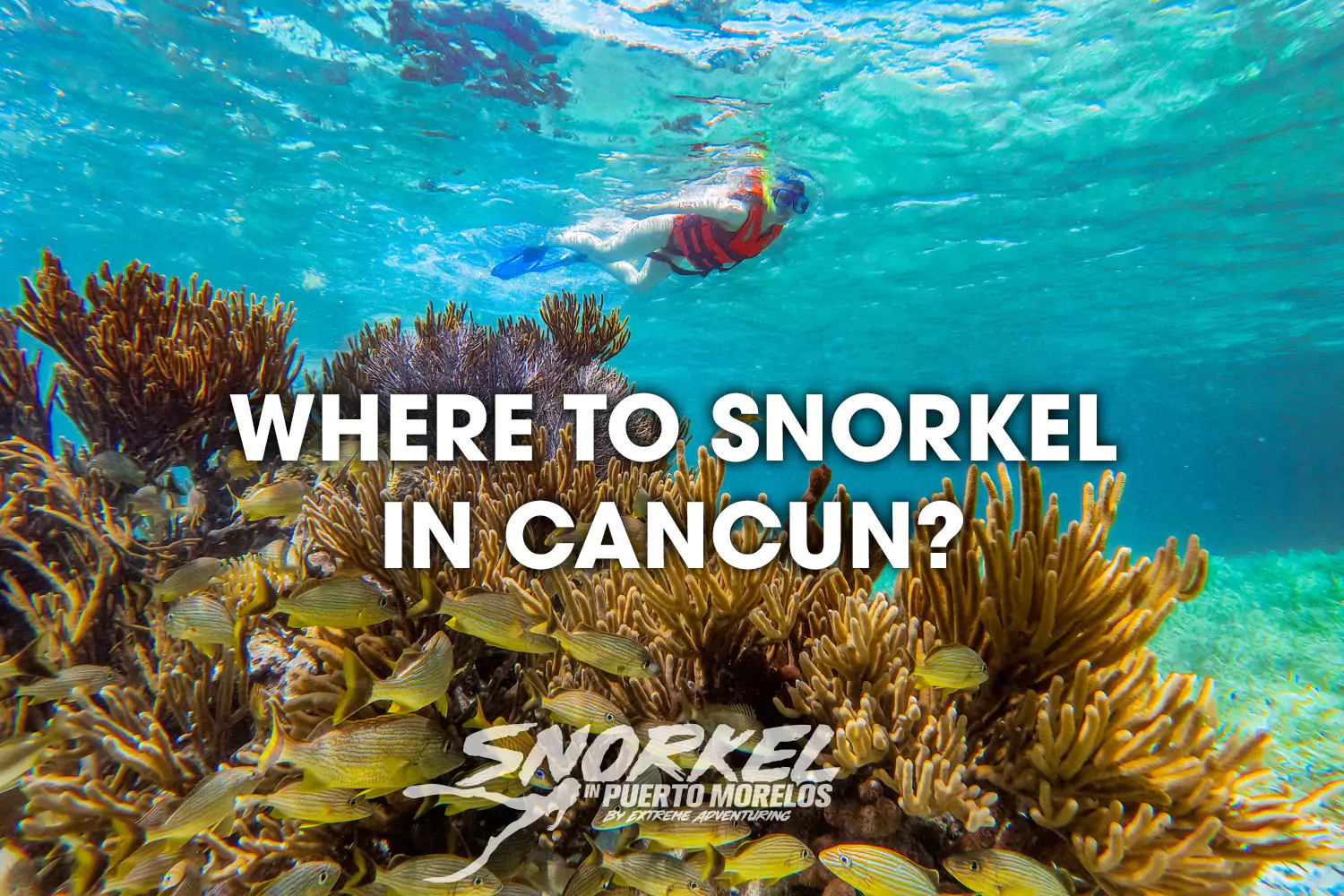 Snorkeling in Cancun