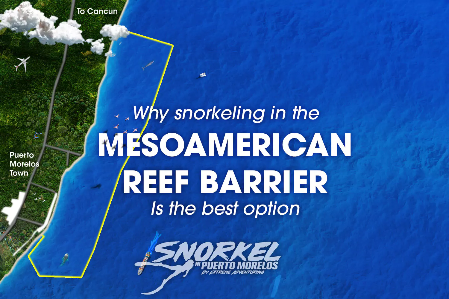 The Mesoamerican Reef is the best option
