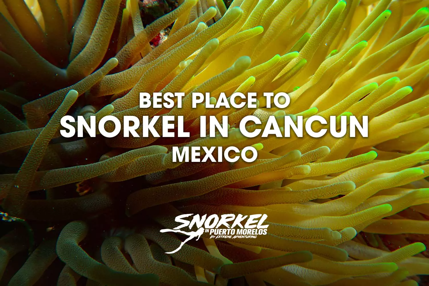 Best place to snorkel in Cancun Mexico