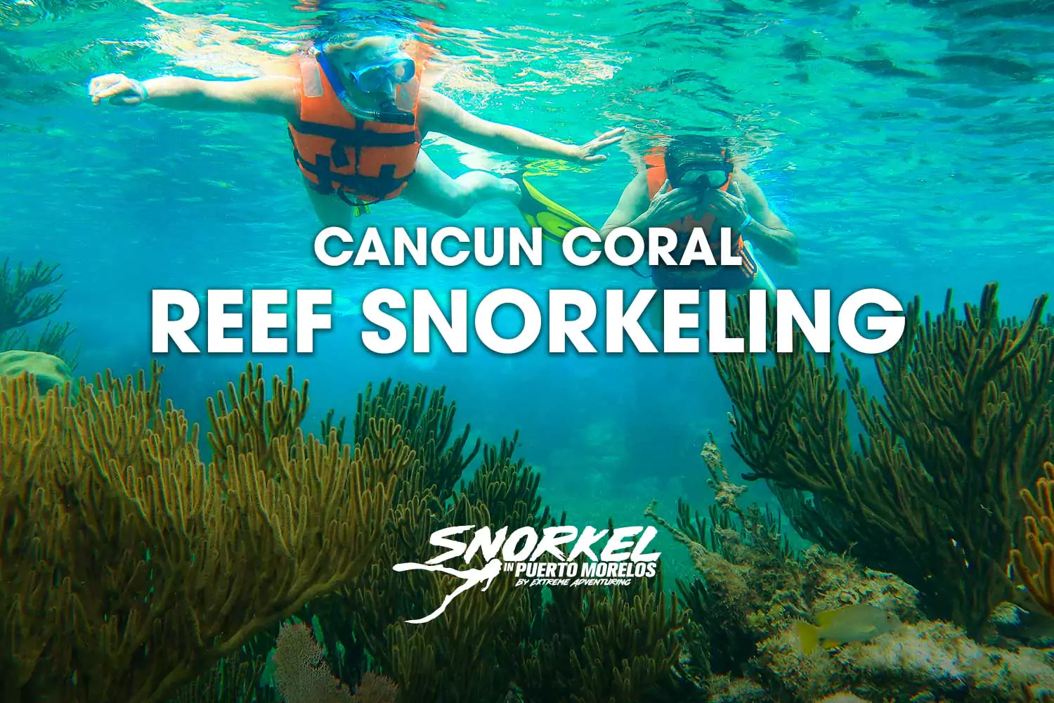 Cancun Coral Reef Snorkeling
