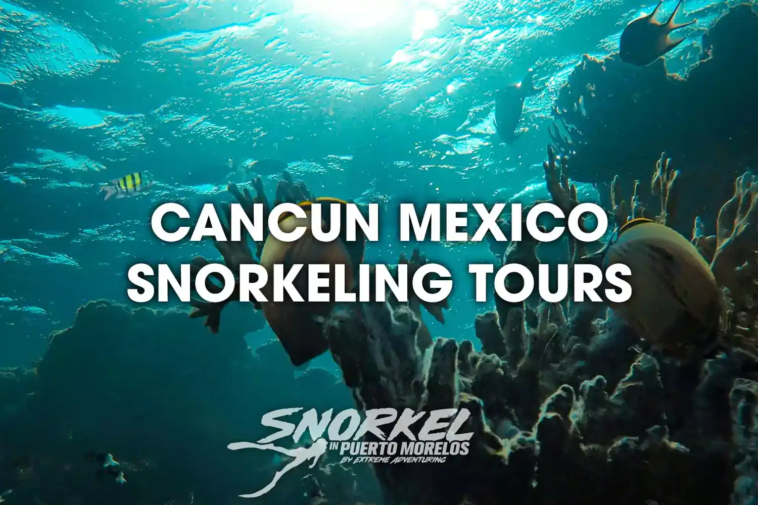 Cancun Mexico Snorkeling Tours