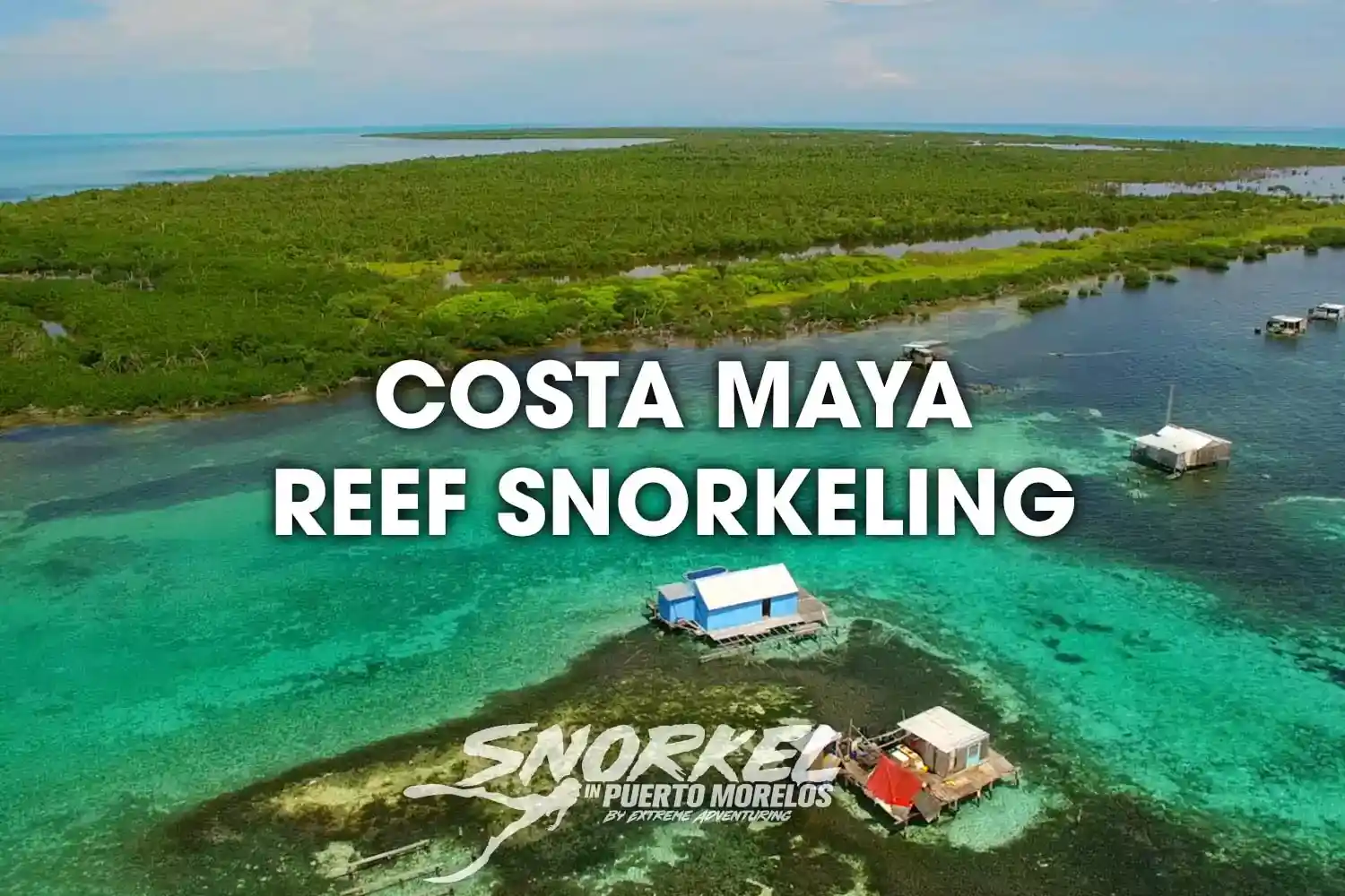 Costa Maya reef snorkeling