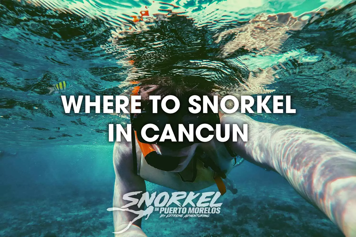 Where to Snorkel in Cancun
