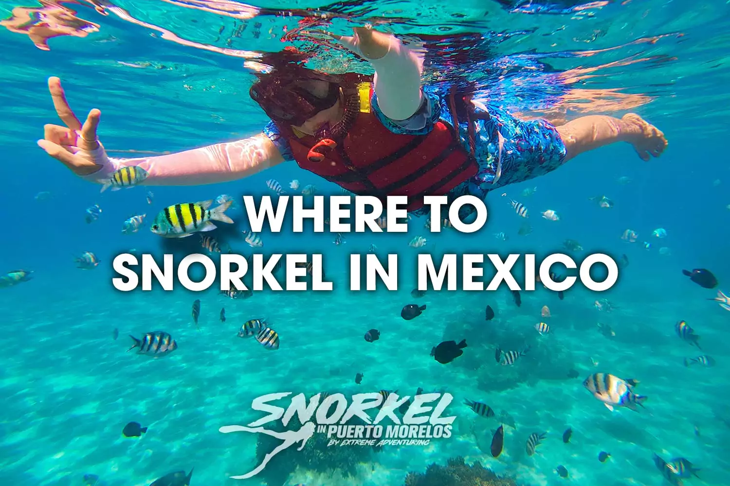 Where to Snorkel in Mexico