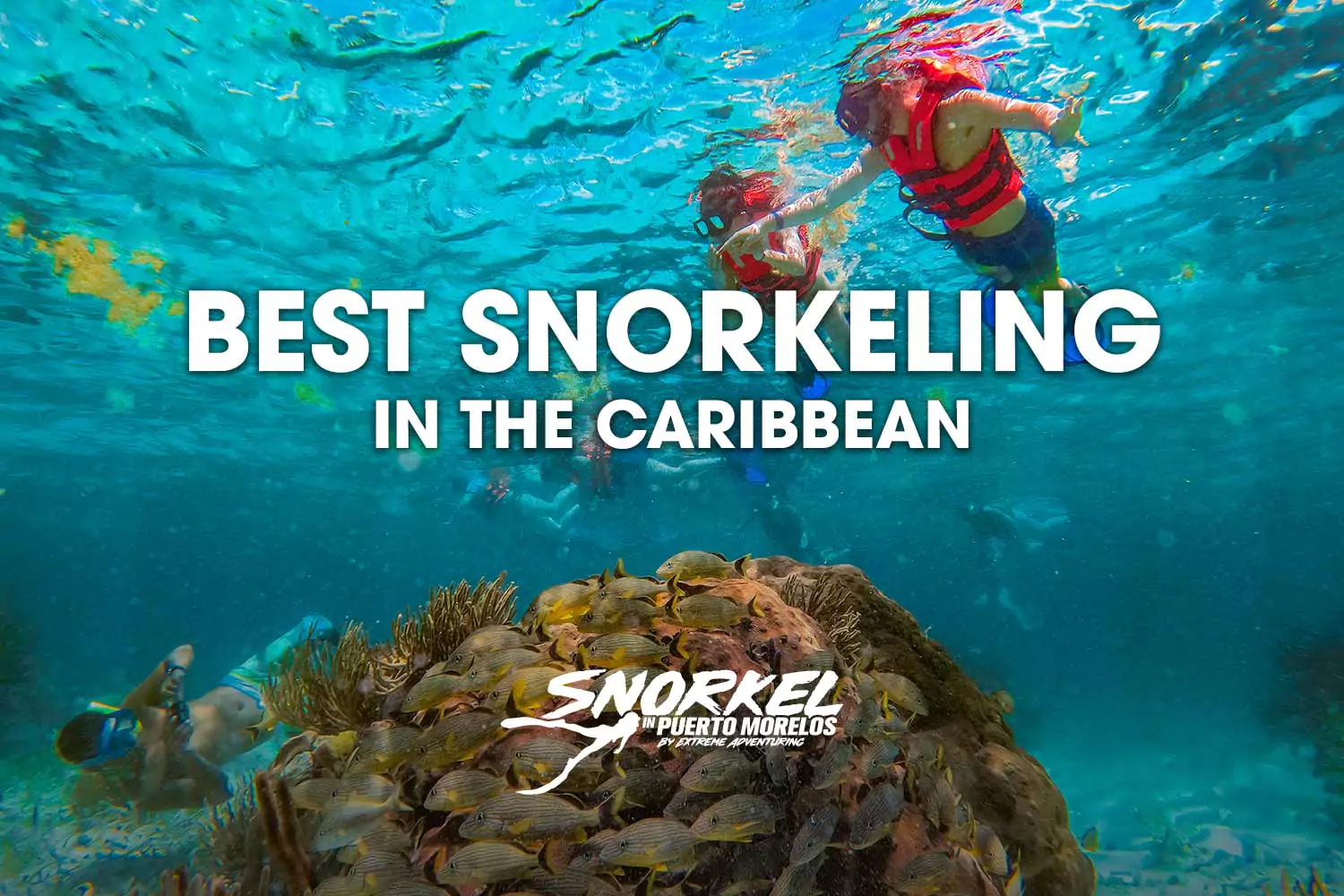 Best snorkeling in the caribbean