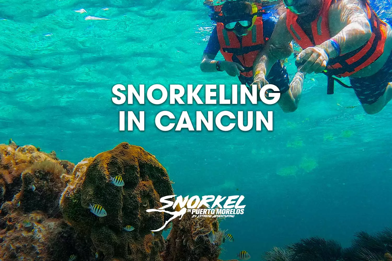 Snorkeling in Cancun