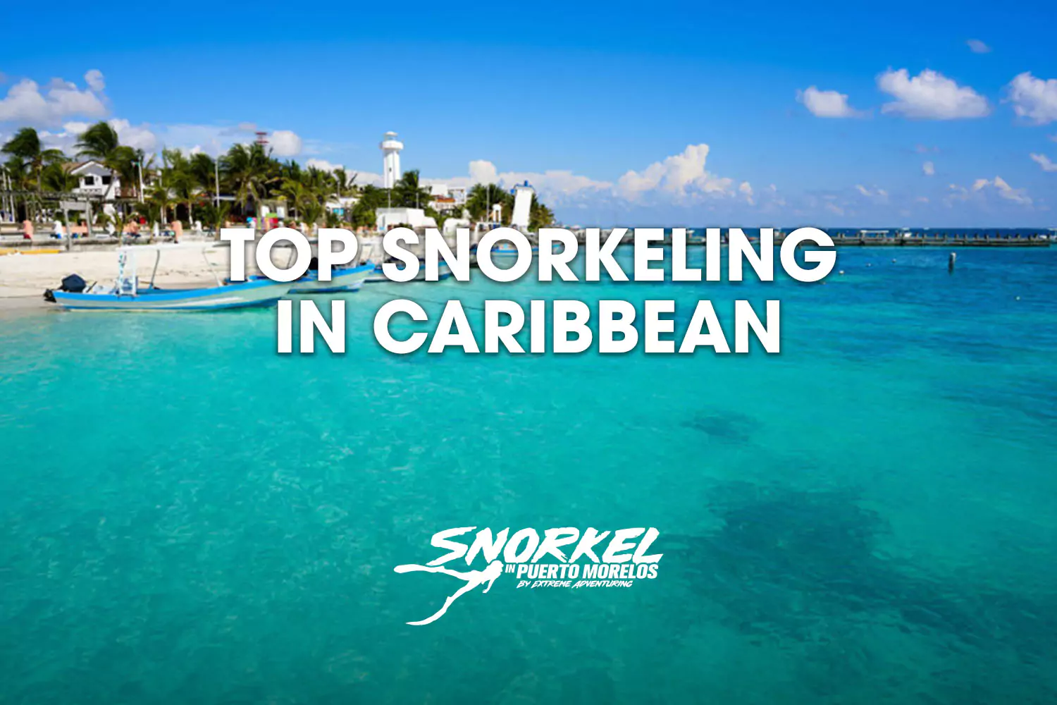 Top snorkeling in caribbean