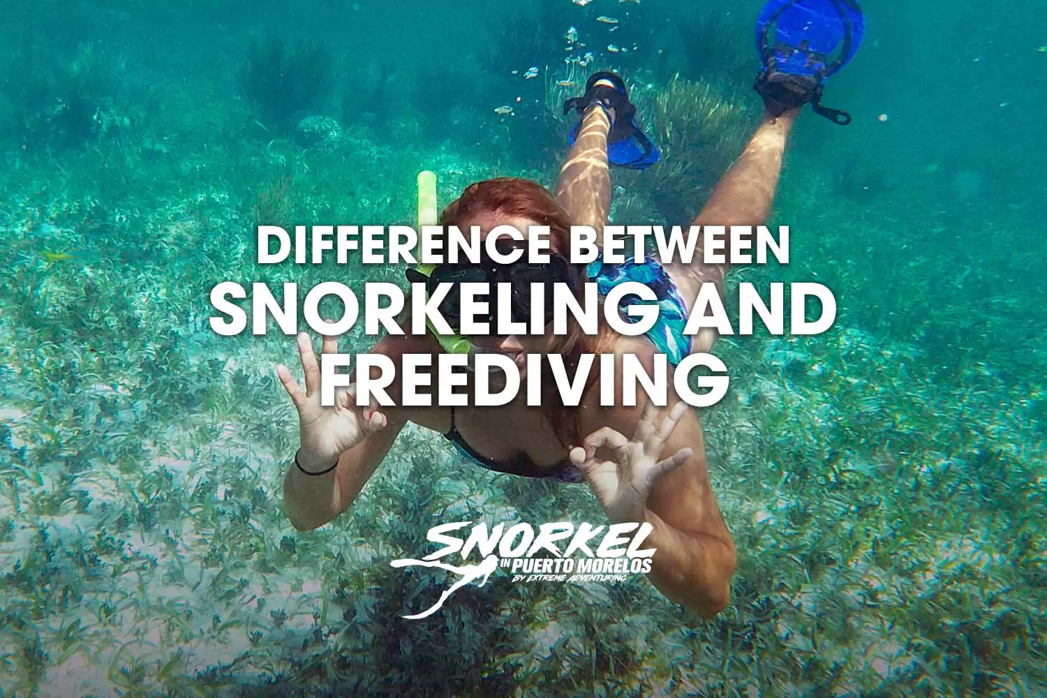 Difference between snorkeling and freediving