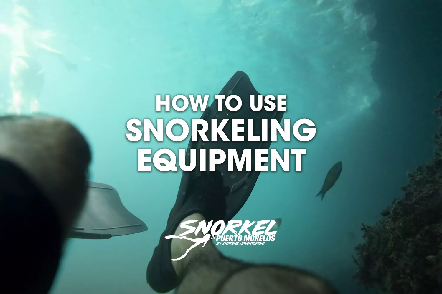 How to use snorkeling equipment​