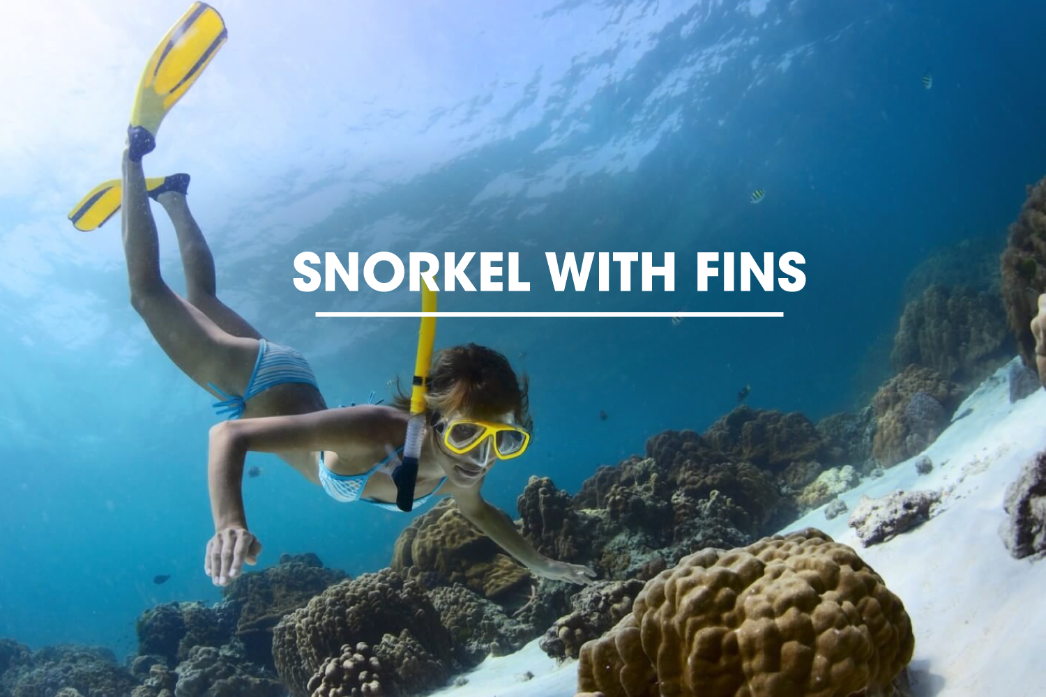 Snorkel with Fins
