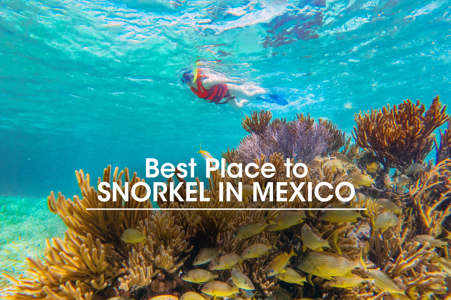 Best Place to Snorkel in Mexico