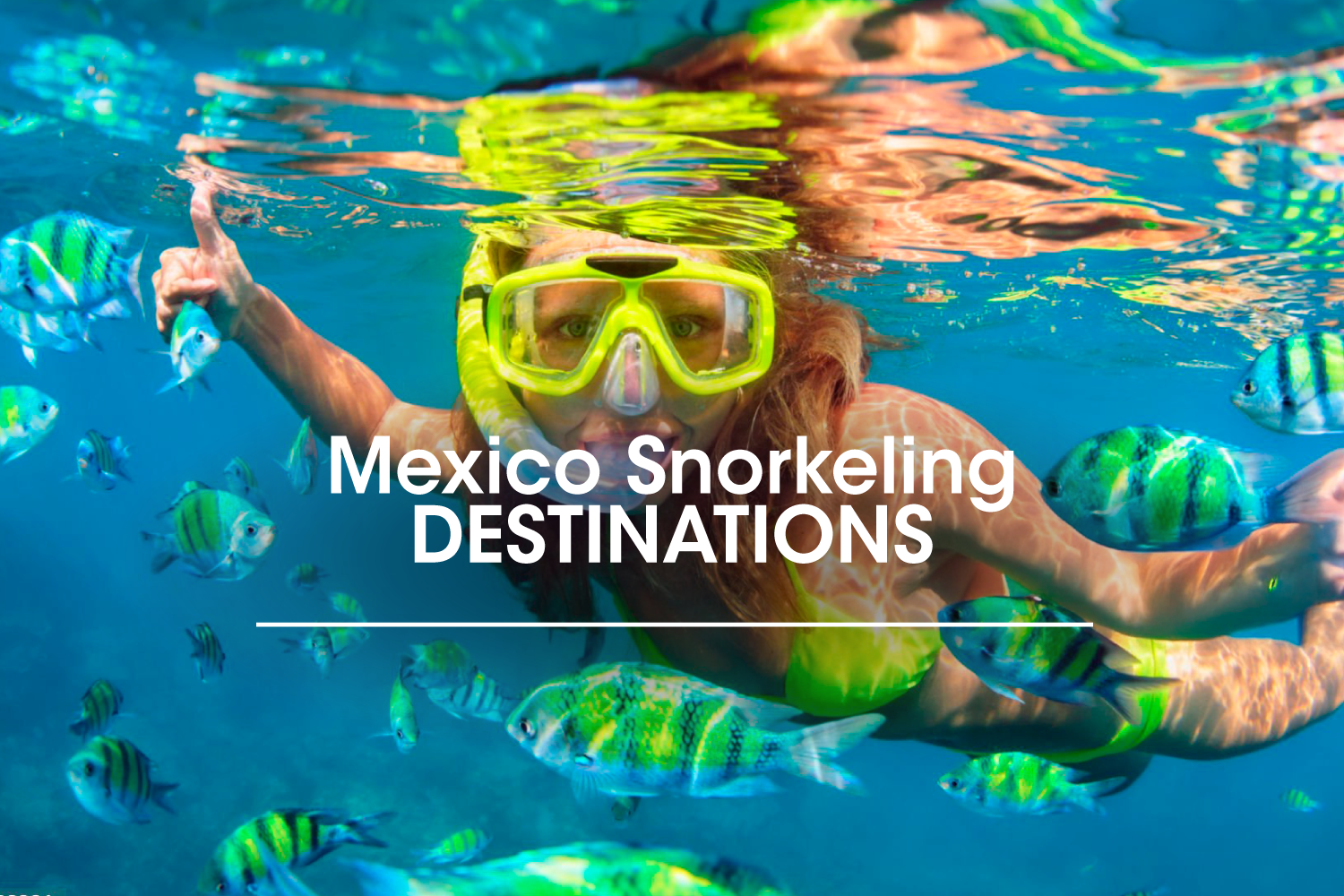 Mexico Snorkeling Destinations
