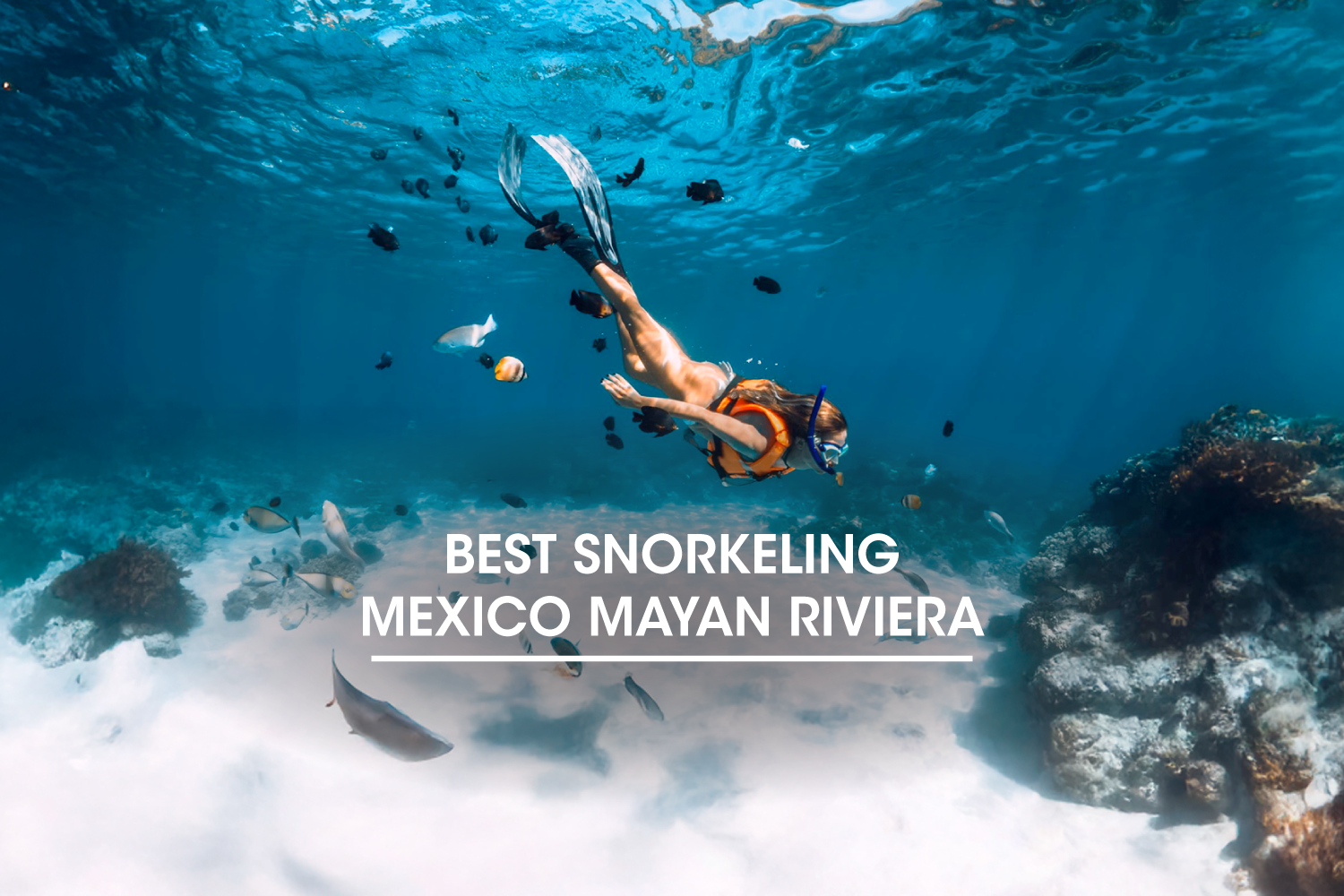 Best Snorkeling Mexico Mayan Riviera