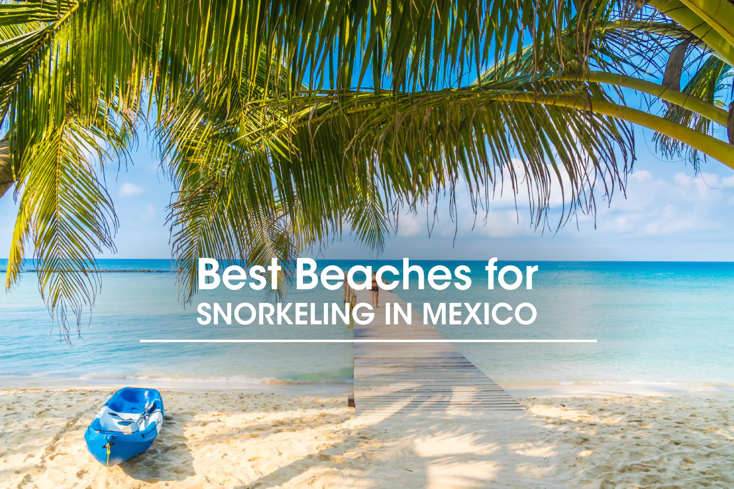 Best Beaches for Snorkeling in Mexico