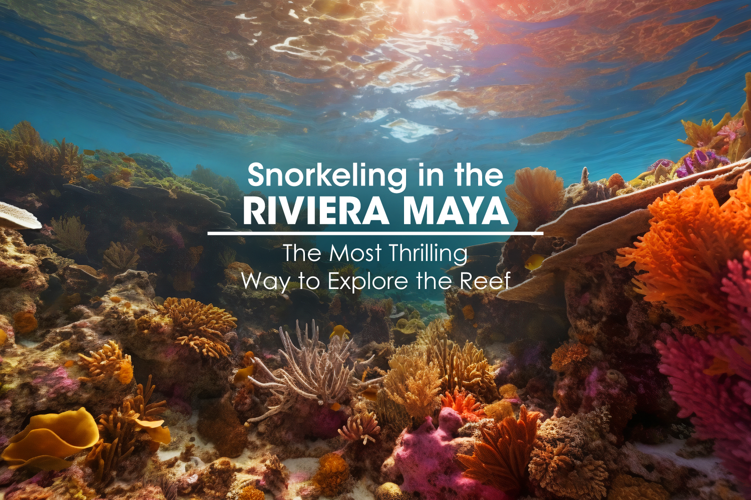 Snorkeling in the Riviera Maya: The Most Thrilling Way to Explore the Reef