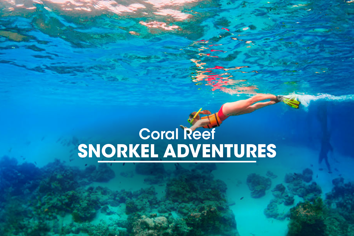Coral Reef Snorkel Adventures