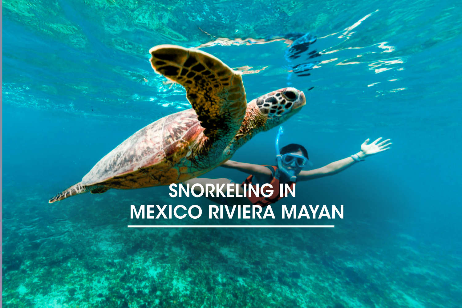 Snorkeling in Mexico Riviera Maya