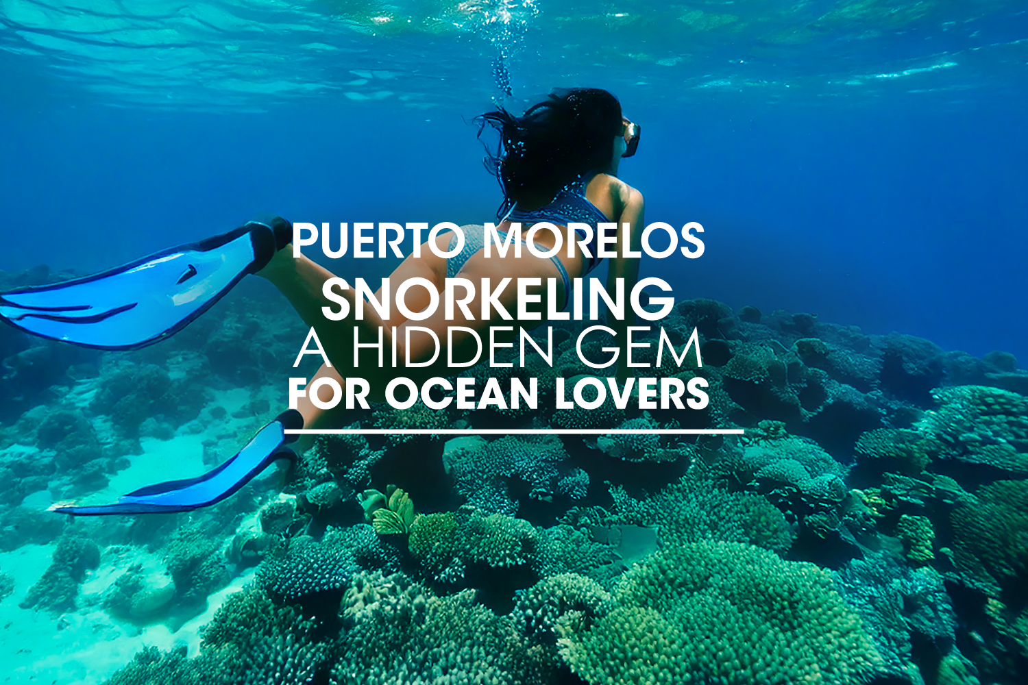 Puerto Morelos Snorkeling: A Hidden Gem for Ocean Lovers