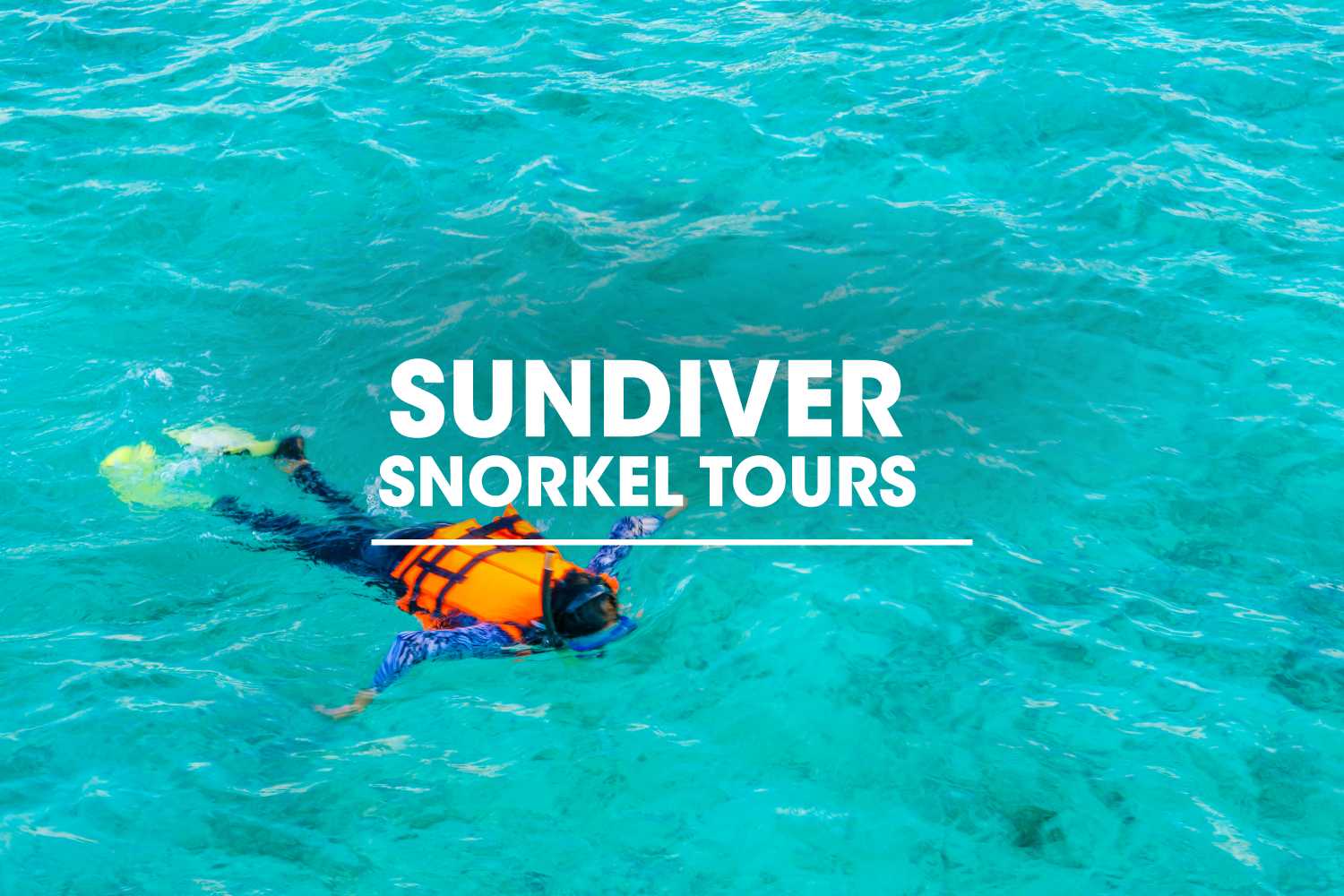 Sundiver Snorkel Tours​