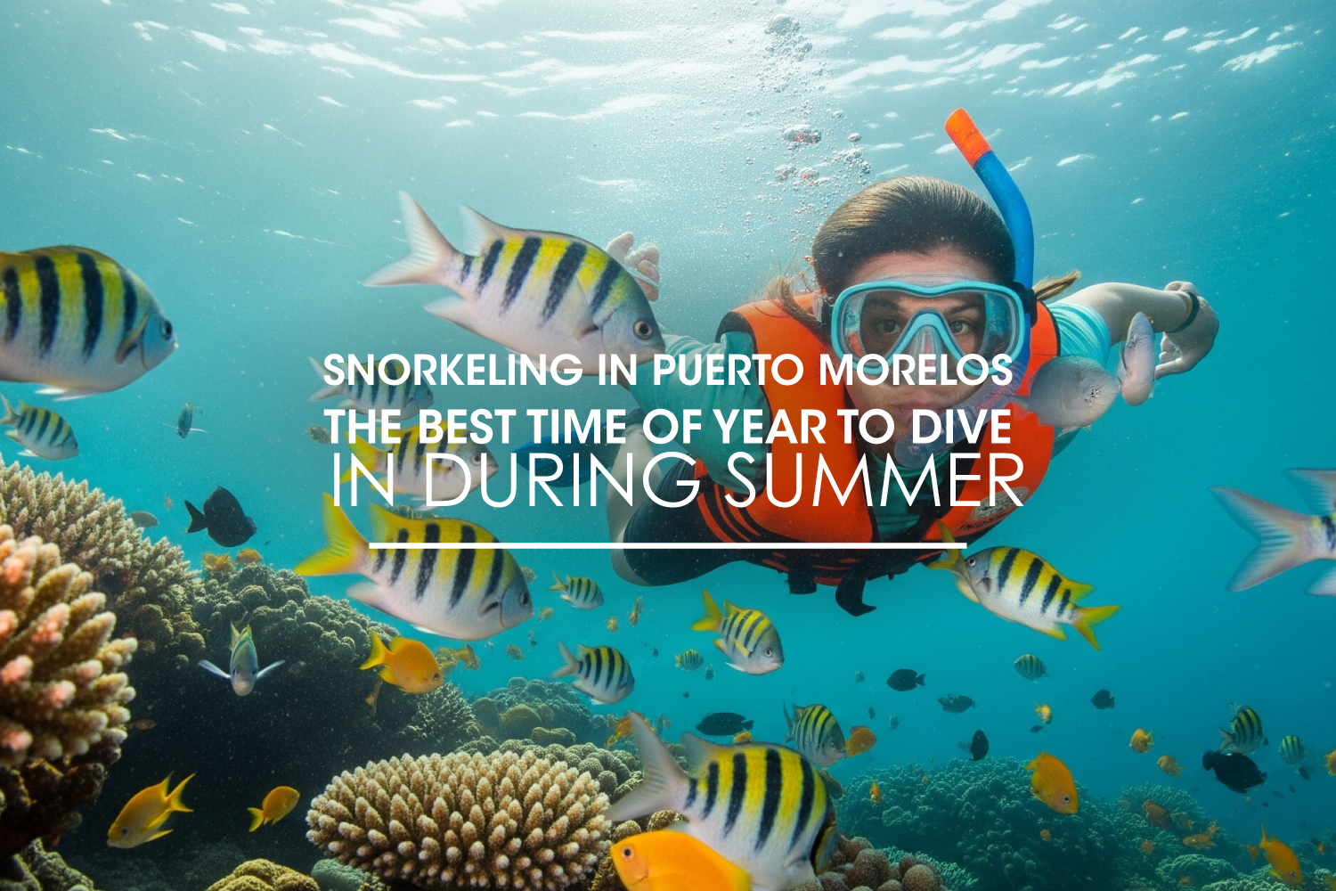 Snorkeling in Puerto Morelos: The Best Time of Year to Dive In During Summer