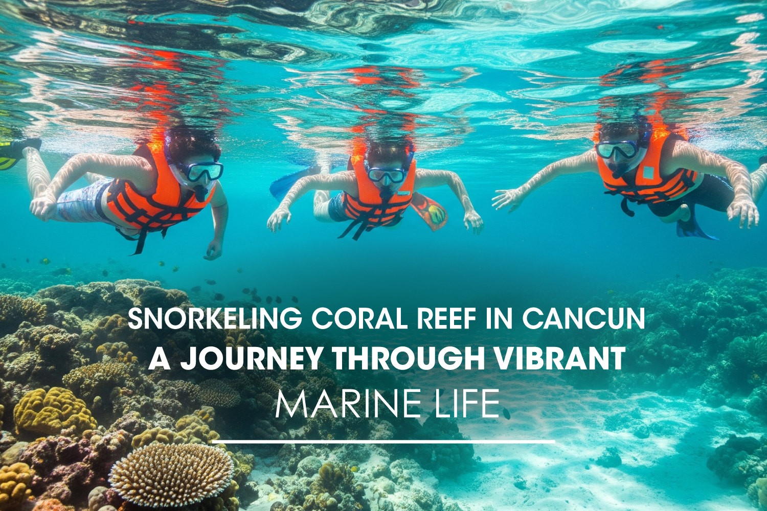 Snorkeling Coral Reef in Cancun: A Journey Through Vibrant Marine Life