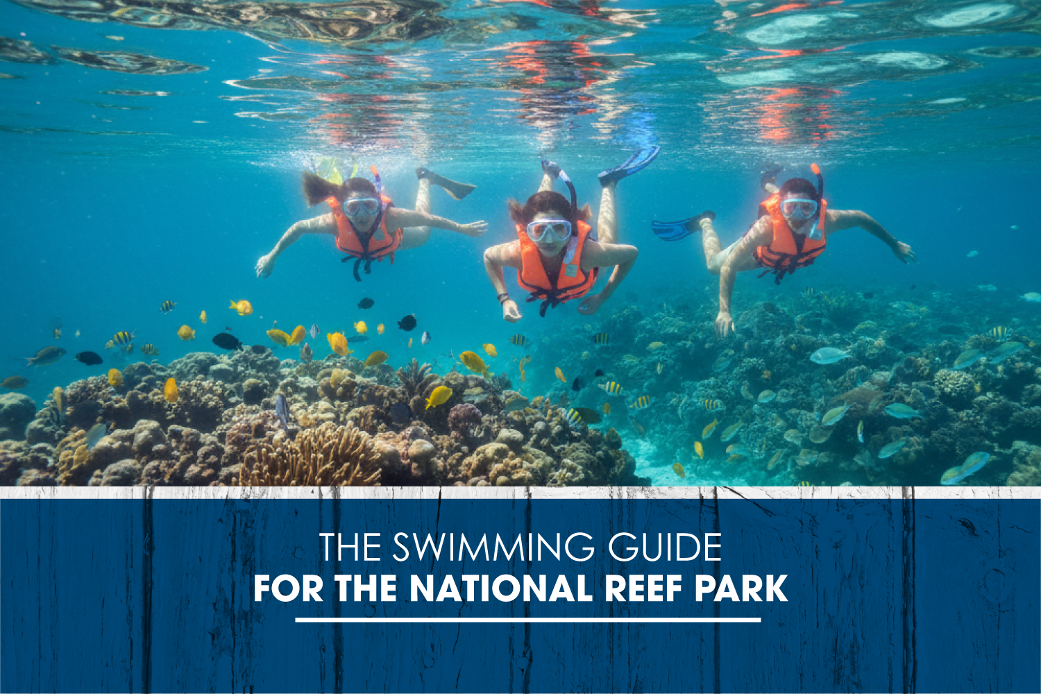 The swimming guide for the National Reef Park