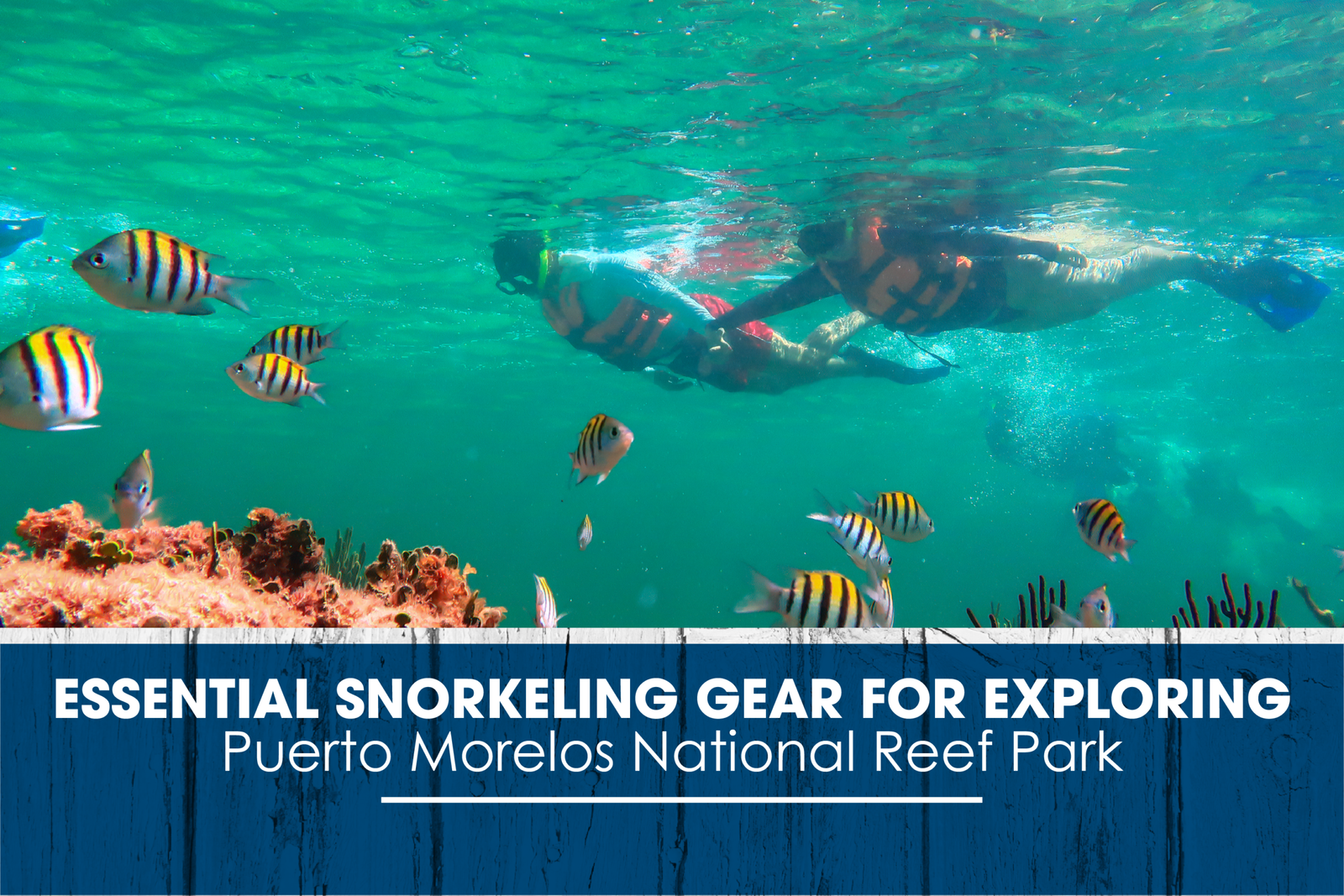 Essential Snorkeling Gear for Exploring Puerto Morelos National Reef Park